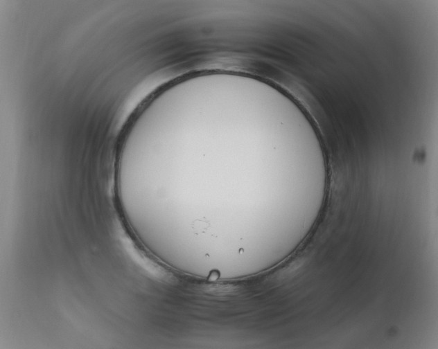 X0000110731131200907022104