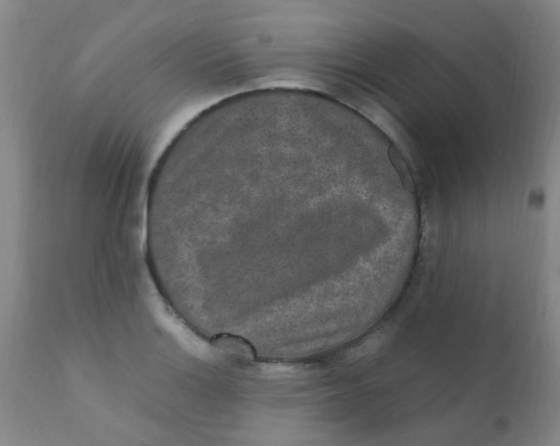 X0000110731132200907022104