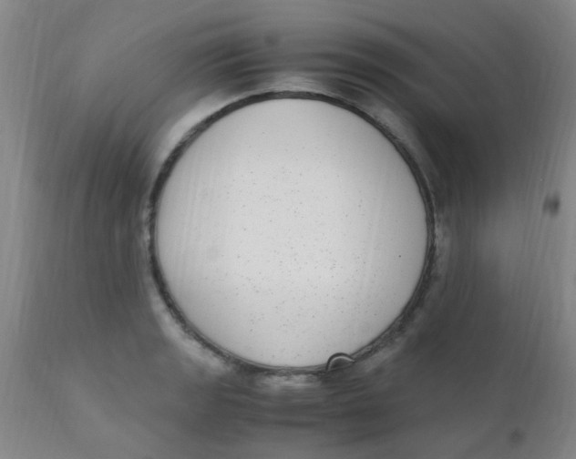 X0000110731133200907022104