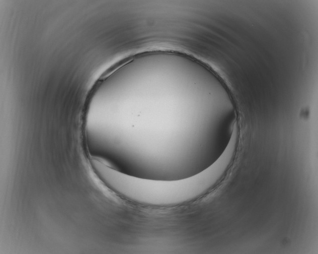 X0000110731134200907022104