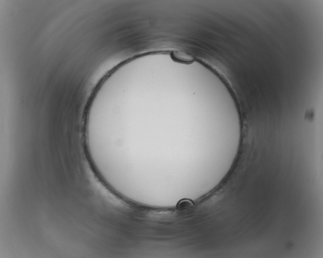 X0000110731135200907022104