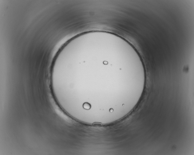 X0000110731136200907022104