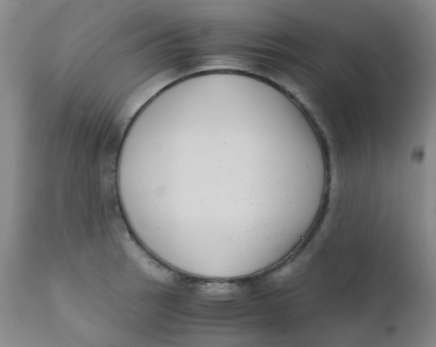 X0000110731137200907022104