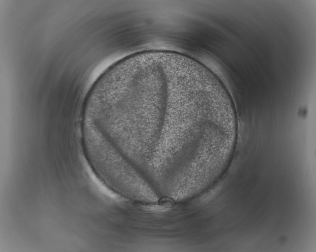 X0000110731141200907022104