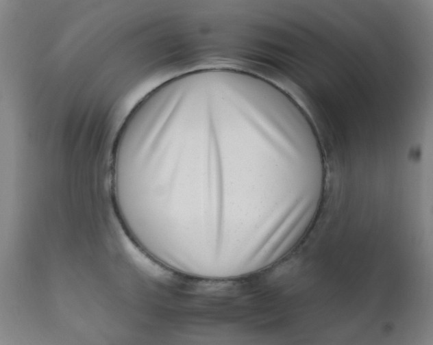 X0000110731143200907022104