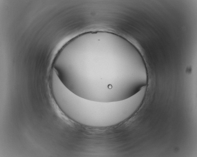 X0000110731144200907022104