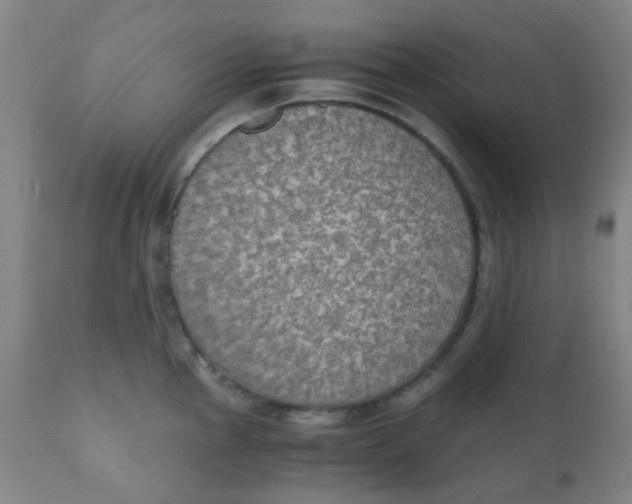 X0000110731145200907022104