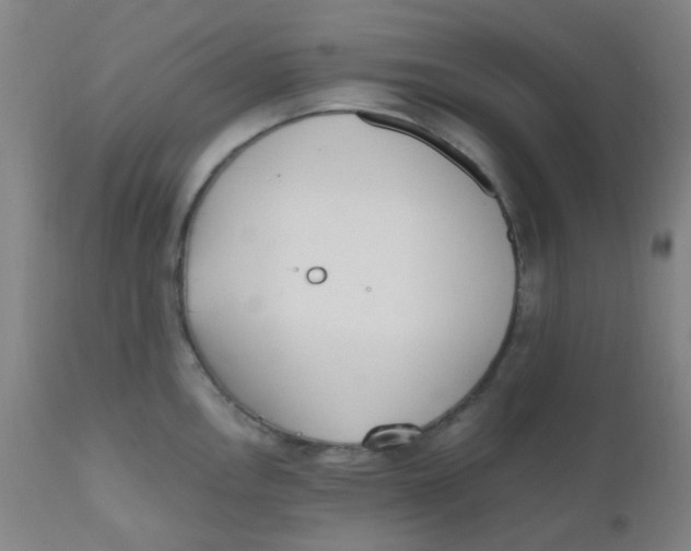 X0000110731146200907022104