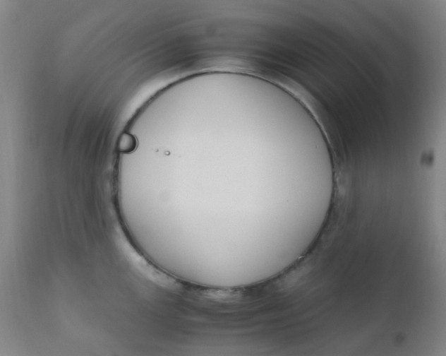 X0000110731147200907022104