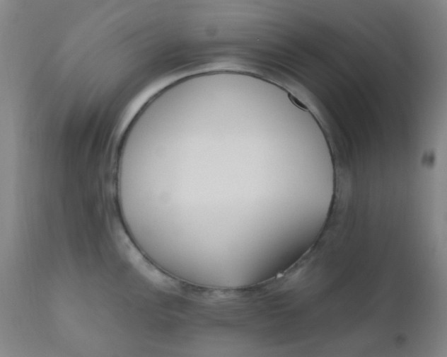 X0000110731148200907022104