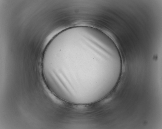 X0000110731149200907022104