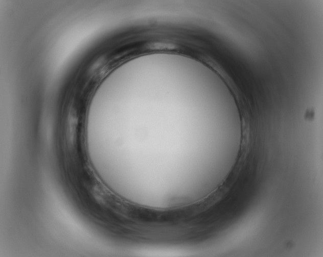 X0000110731151200907022104