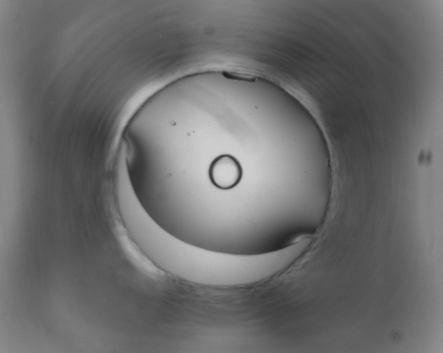 X0000110731152200907022104