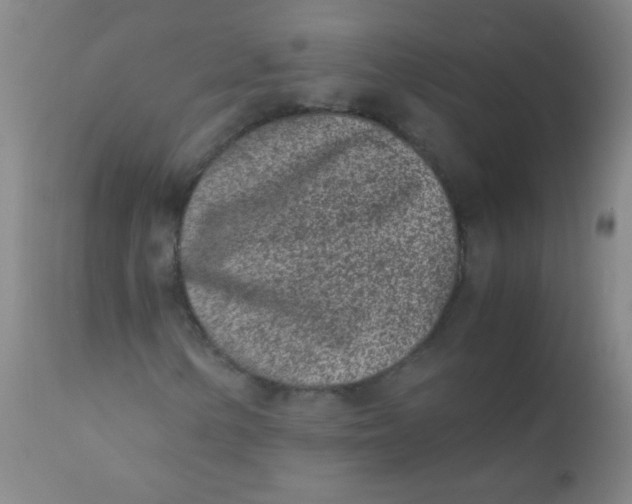 X0000110731154200907022103