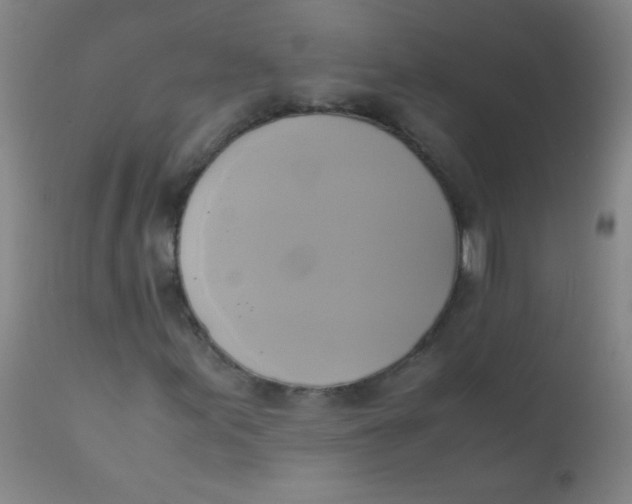 X0000110731155200907022103