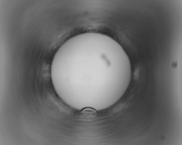 X0000110731156200907022103