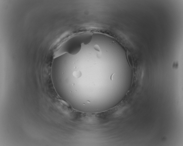 X0000110731157200907022103