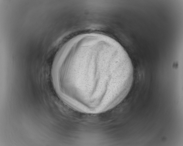 X0000110731158200907022103