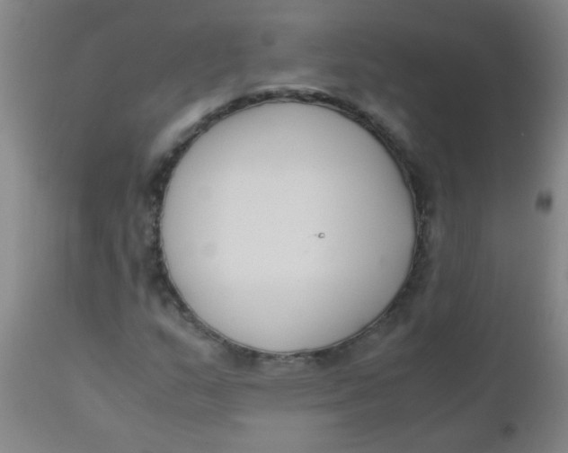 X0000110731159200907022103