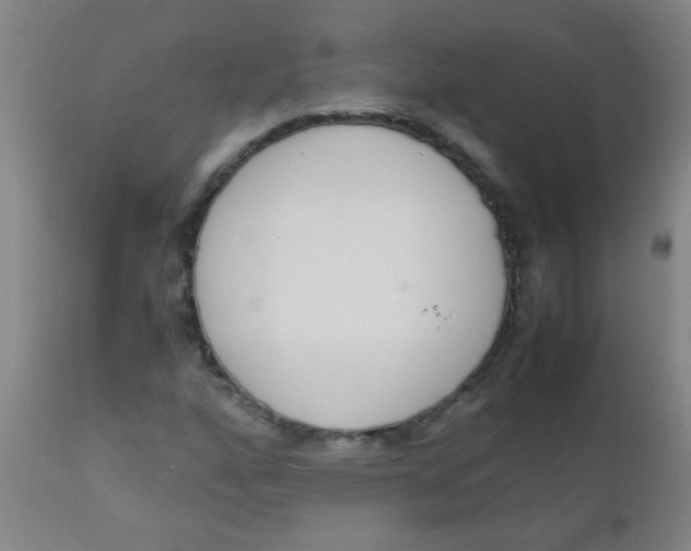 X0000110731160200907022103