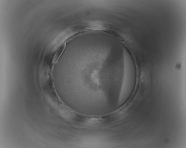 X0000110731161200907022103