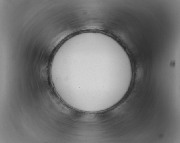 X0000110731162200907022103