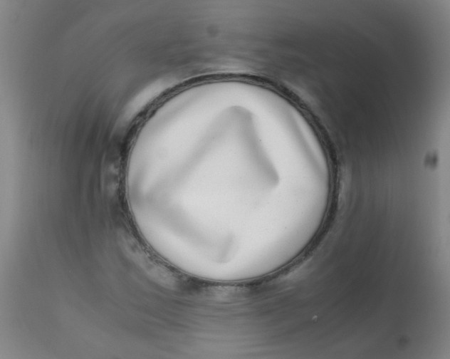 X0000110731163200907022103