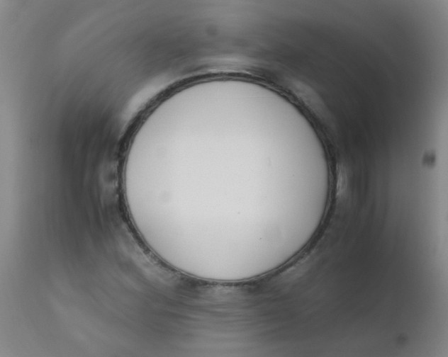 X0000110731164200907022103