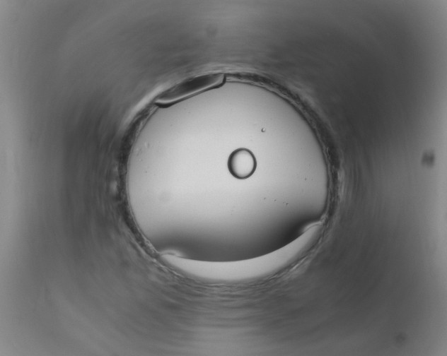 X0000110731165200907022103