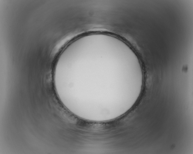 X0000110731167200907022103