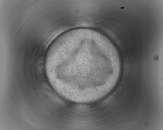 X0000110731170200907022103