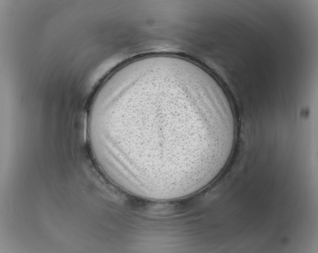 X0000110731171200907022103