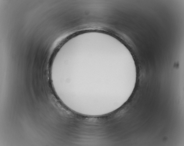 X0000110731172200907022103