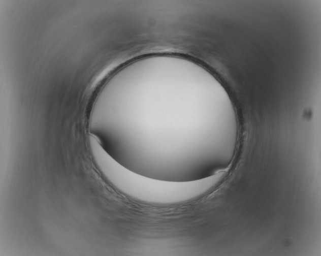 X0000110731173200907022103