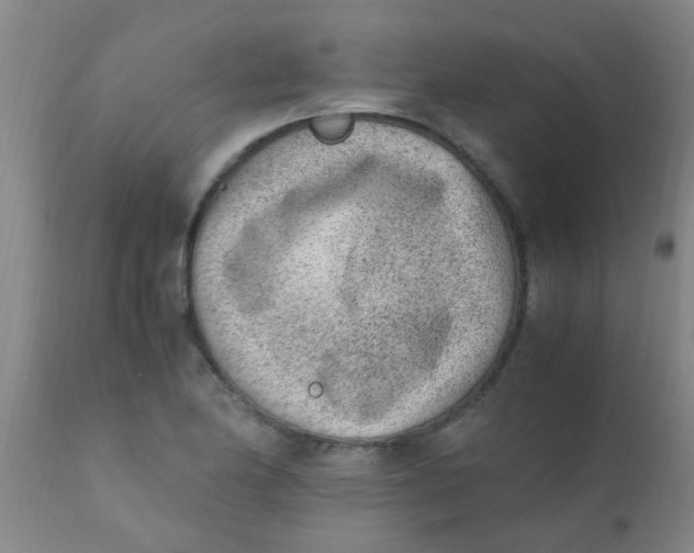 X0000110731174200907022103