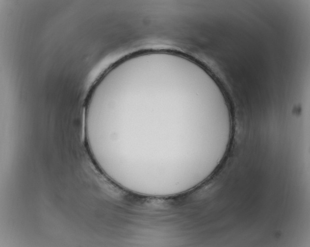 X0000110731175200907022103