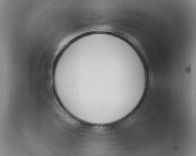 X0000110731176200907022103