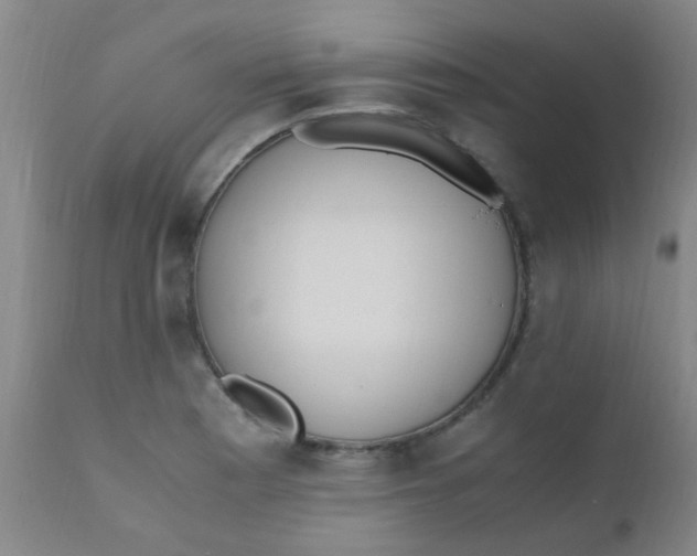 X0000110731177200907022103