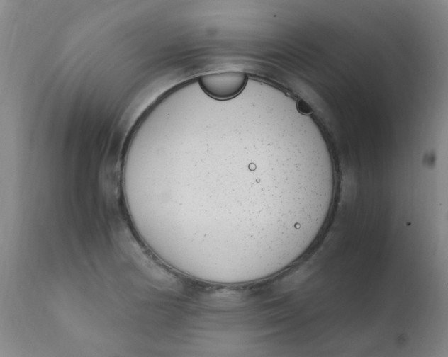 X0000110731178200907022103