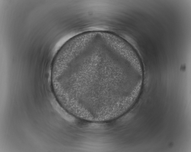 X0000110731179200907022103