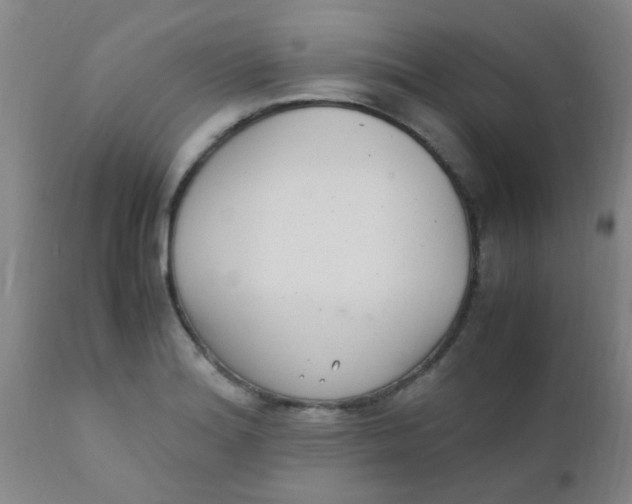 X0000110731180200907022103