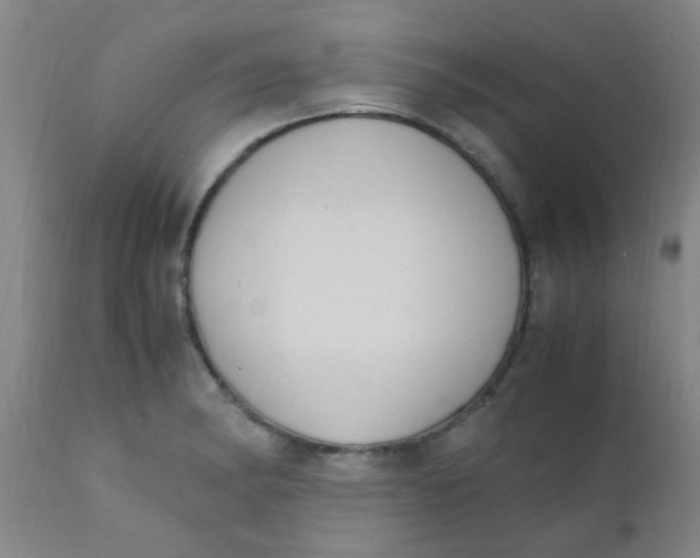 X0000110731182200907022103