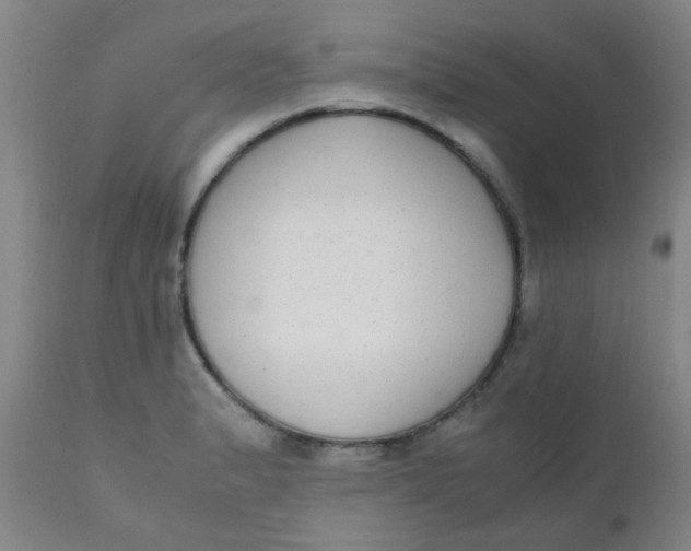 X0000110731183200907022103