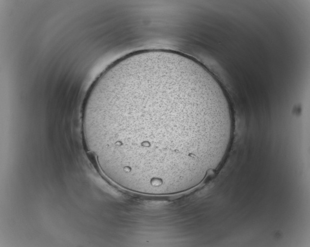 X0000110731184200907022103