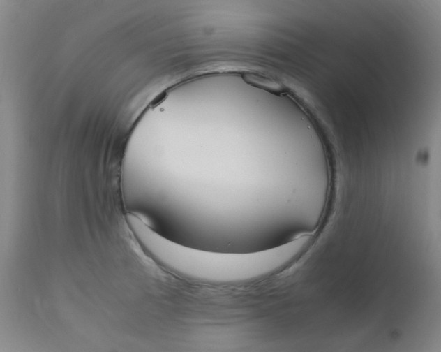 X0000110731185200907022103