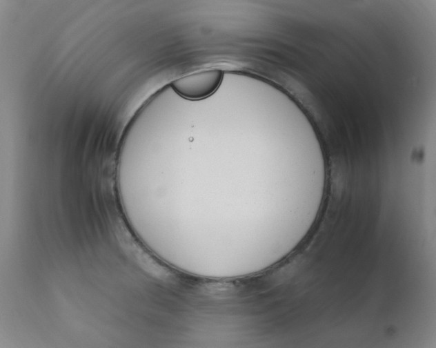 X0000110731186200907022103