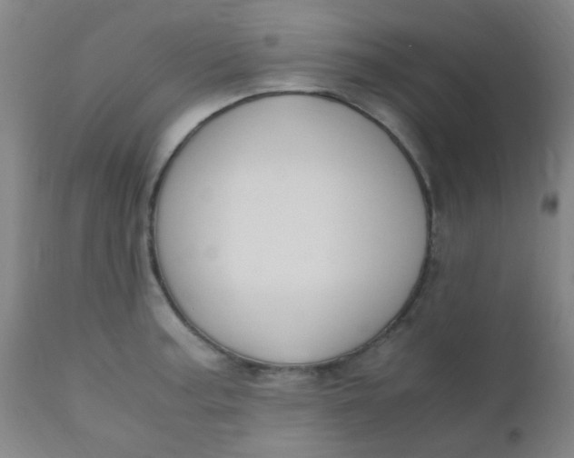 X0000110731187200907022103