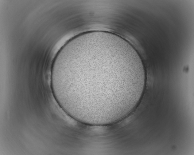 X0000110731188200907022103