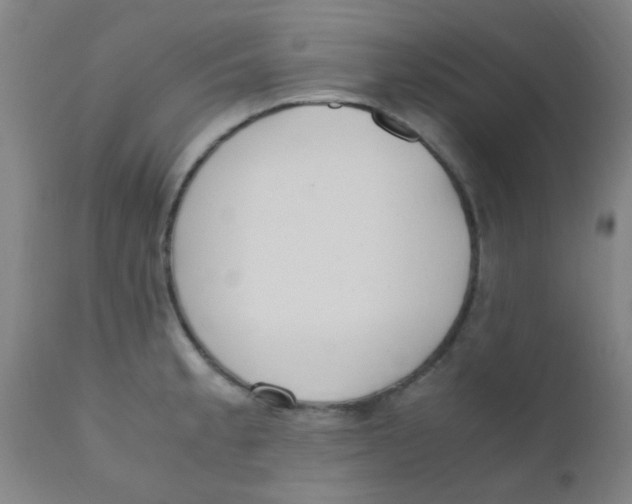 X0000110731189200907022103