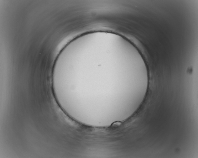 X0000110731191200907022103